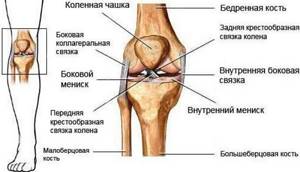 Упражнения при травме колена: тренировки, комплекс