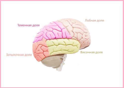Как болит голова при опухоли головного мозга: у взрослых