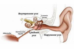 Онемело ухо: кончик, возле, ушная раковина, причины