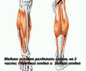 Болят ноги от колена до ступни: боли до стопы, причины, лечение