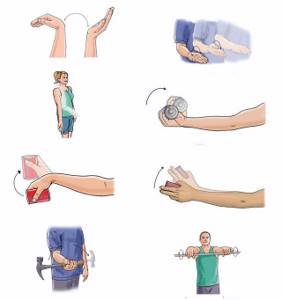Как разработать руку после перелома лучевой кости в домашних условиях