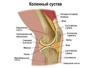 Упражнения для колена после травмы: разработка, физкультура