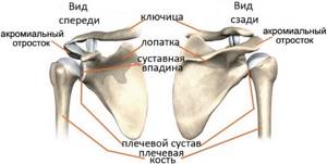 Надмыщелковый перелом плечевой кости: у детей