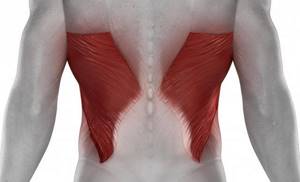 Растяжение мышц спины: симптомы и лечение, повреждение, массаж