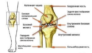 Разрыв связок коленного сустава: сколько времени заживает, как долго