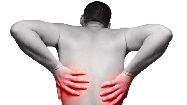 Болит спина в области почек: боль сзади, что делать
