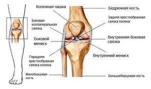 Упражнения для колена после травмы: разработка, физкультура