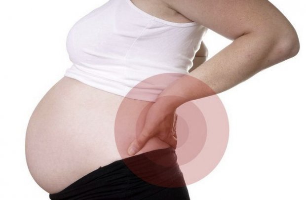 Болят почки при беременности: на ранних сроках, что можно